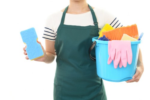 Carpet cleaners pricing discussion for a South Kensington flat
