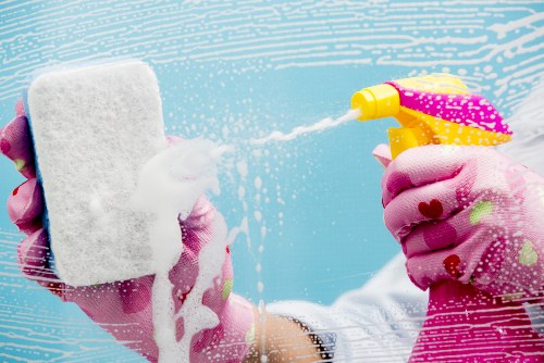 Image representing supplier due diligence for a carpet cleaning business