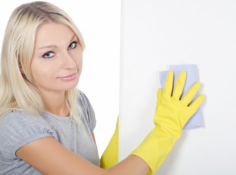 Specialist cleaning equipment used for pet odour removal in South Kensington